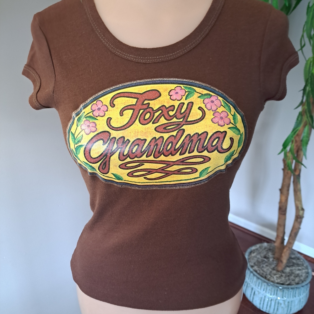 Vintage 70s Graphic Icebreaker Brown Graphic Tee